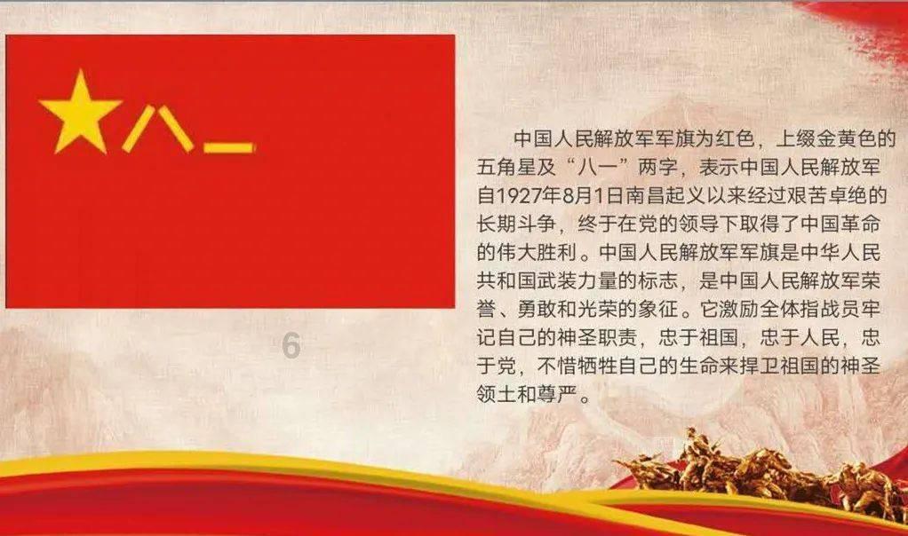 救援狗与猫