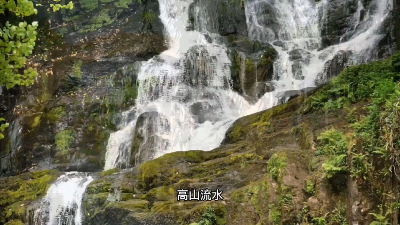 求生指南2